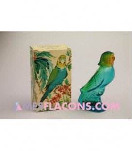 Elégance - Parakeet