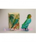 Elégance - Parakeet