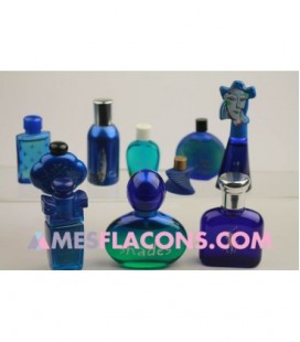 Lot de 10 miniatures mixtes de couleur bleue (marques diverses)