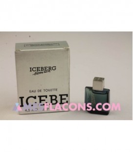 Iceberg