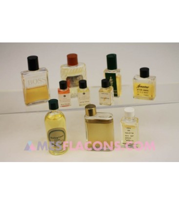 Lot de 10 miniatures masculines (marques diverses)