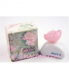 Pivoine, bon anniversaire