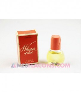 Whisper of musk