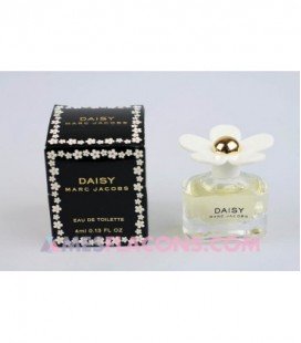 Daisy - Fleur blanche